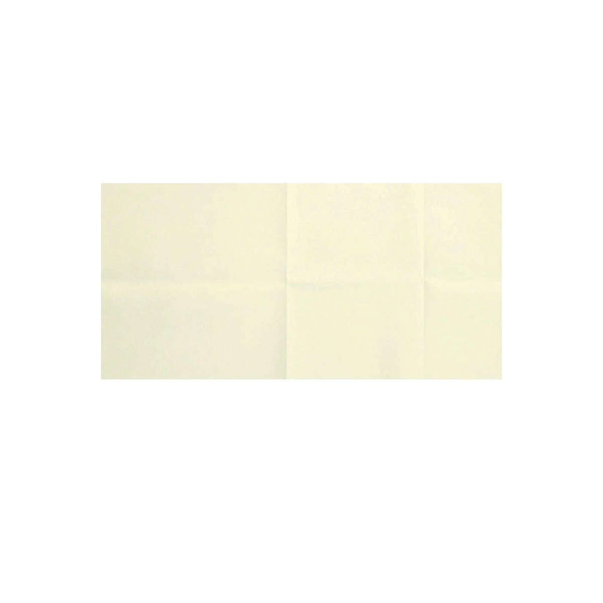 MATERASSINO ASSORBENTE BIO FM 75X220